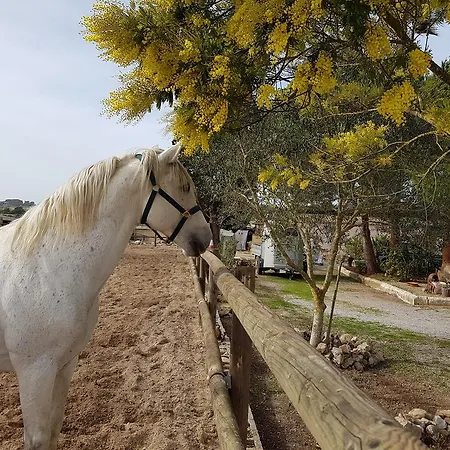 Finca Caballo Blanco *