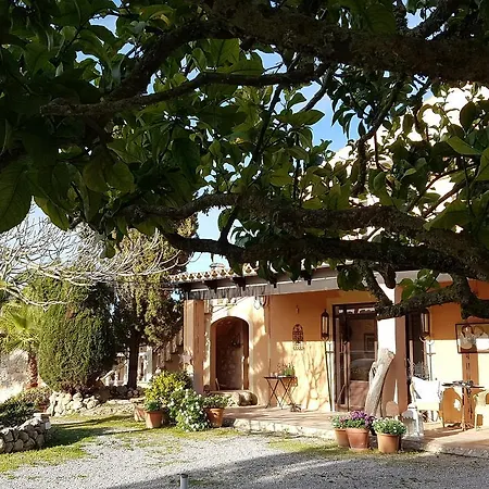 Finca Caballo Blanco * Montuiri (Mallorca)