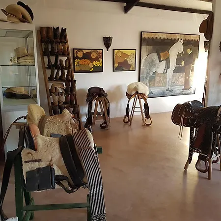 Finca Caballo Blanco Guest house Montuiri (Mallorca)