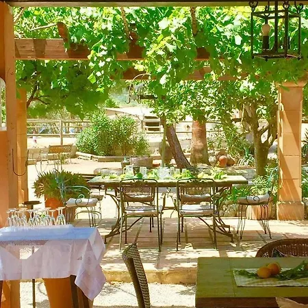 Guest house Finca Caballo Blanco Montuiri (Mallorca)