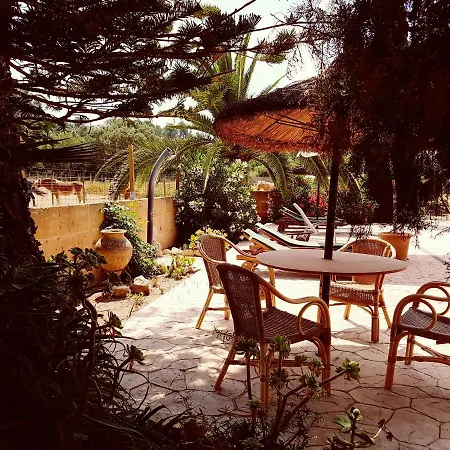 Finca Caballo Blanco Guest house Montuiri (Mallorca)